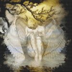 An Angel Cries (image for) An Angel Cries